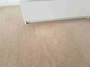 carpet-cleaning