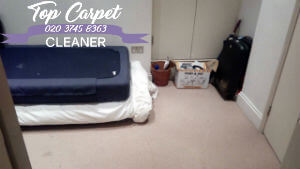 carpet cleaners