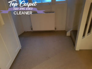 professional carpet cleaning